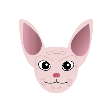 설명